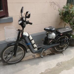 Vintage Electric Bikes & Electric Trikes of Naples